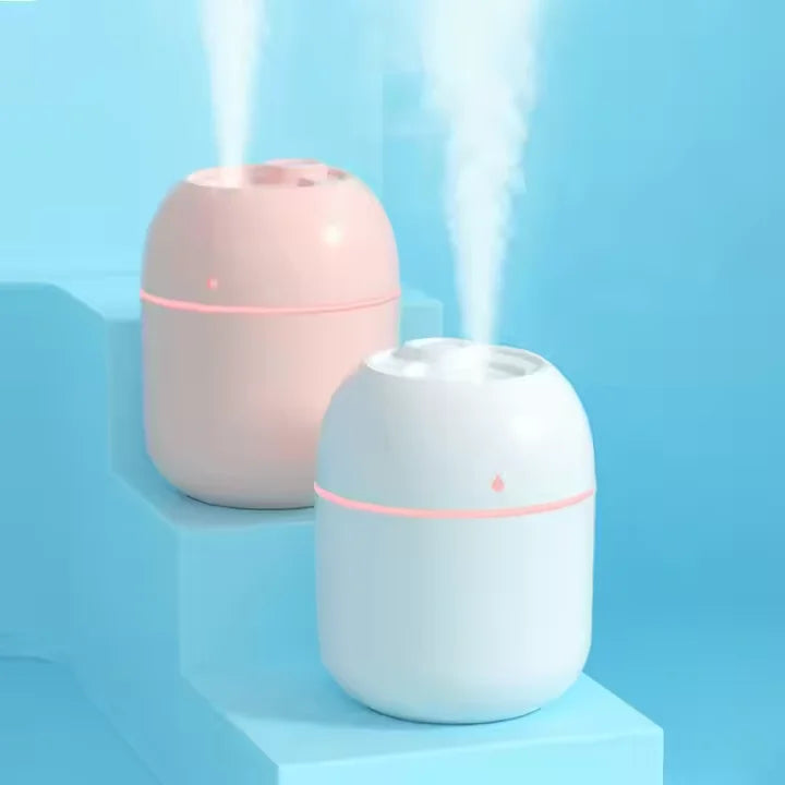 Portable Mini Humidifier Colorful 220ML LED Night Light, Air Humidifier, USB Mist Maker, Diffuser for Home, Office Humidifiers