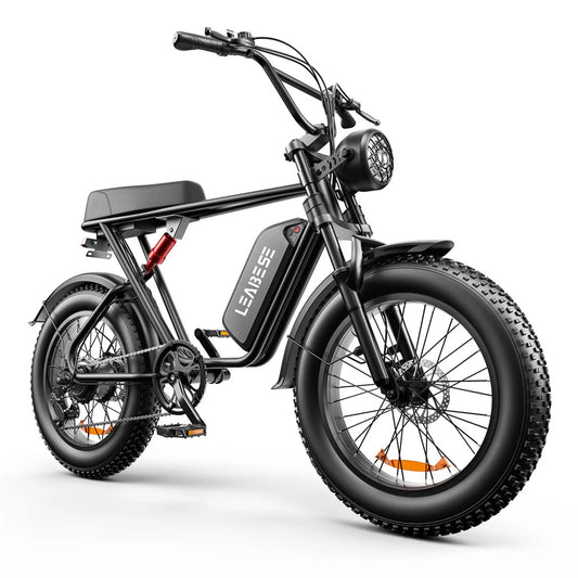 Adult Electric Bike - 1000W 48V Lithium Battery, Thick 20 Inch Tires, Mountain & Snow Electric Tough Bike